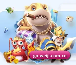 维基体育的故事